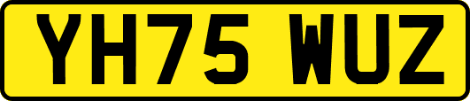 YH75WUZ