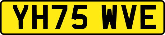 YH75WVE
