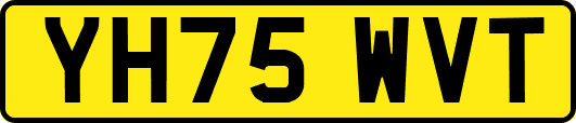 YH75WVT