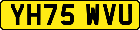 YH75WVU