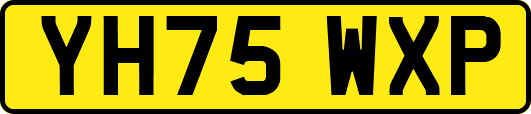 YH75WXP