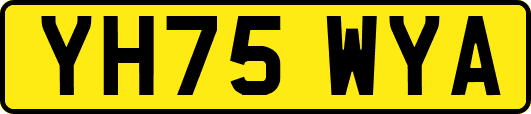 YH75WYA