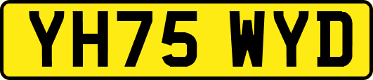 YH75WYD