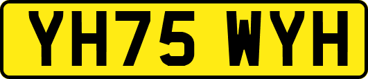 YH75WYH