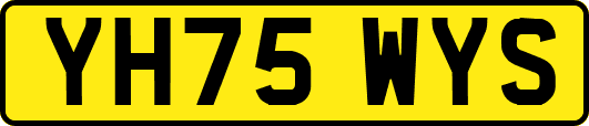 YH75WYS