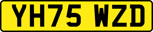 YH75WZD