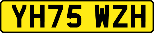 YH75WZH