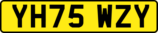 YH75WZY
