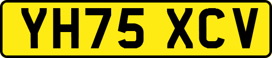 YH75XCV
