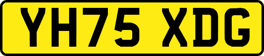 YH75XDG