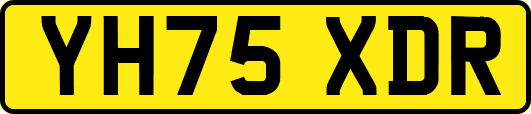YH75XDR