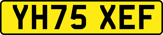 YH75XEF