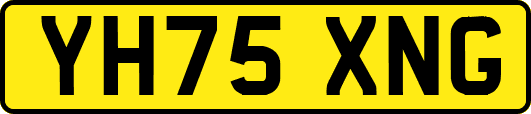 YH75XNG