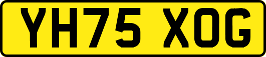 YH75XOG