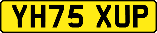 YH75XUP