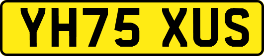 YH75XUS