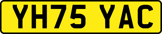 YH75YAC