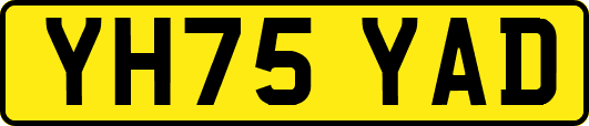 YH75YAD