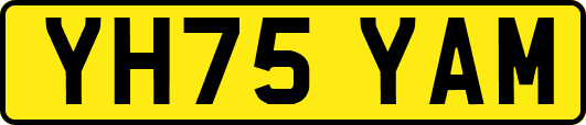 YH75YAM