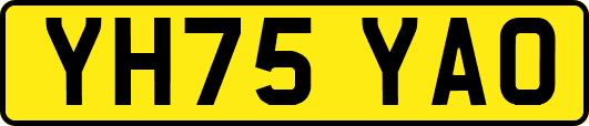 YH75YAO
