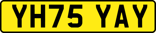YH75YAY