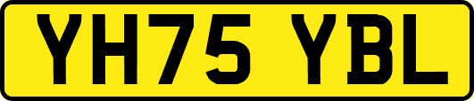 YH75YBL