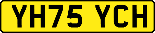 YH75YCH