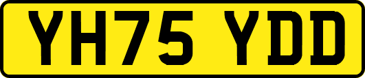 YH75YDD