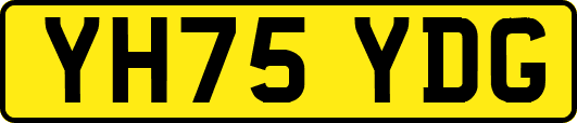 YH75YDG
