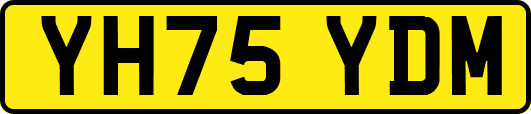 YH75YDM