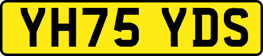 YH75YDS