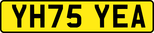 YH75YEA