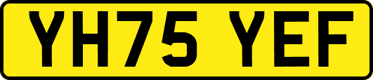 YH75YEF