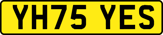 YH75YES