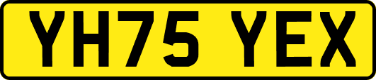 YH75YEX
