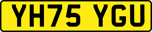 YH75YGU