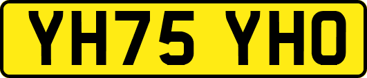YH75YHO