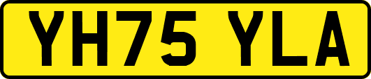 YH75YLA