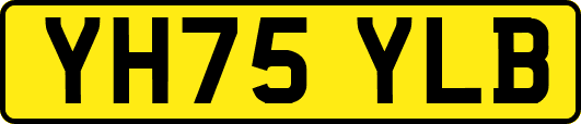 YH75YLB