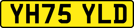 YH75YLD