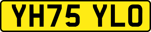 YH75YLO