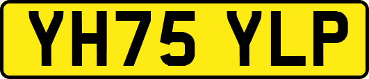 YH75YLP