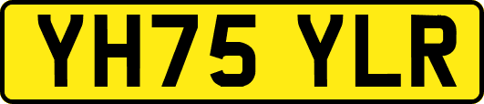 YH75YLR