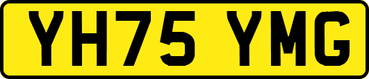 YH75YMG