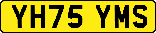 YH75YMS