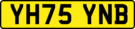 YH75YNB