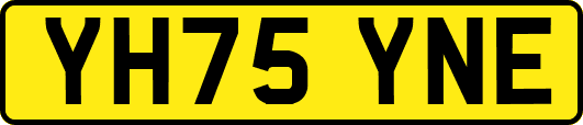 YH75YNE