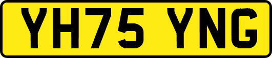 YH75YNG