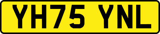 YH75YNL