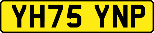 YH75YNP